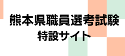 職員選考試験特
設サイト