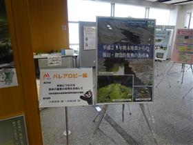 展示状況(その1)