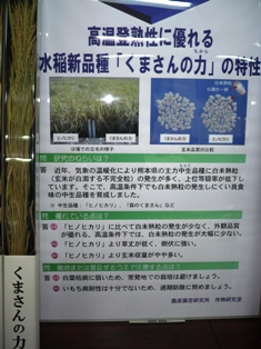 展示(くまさんの力)の写真
