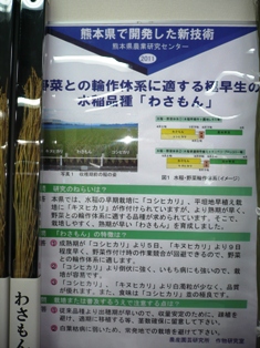 展示(わさもん)の写真