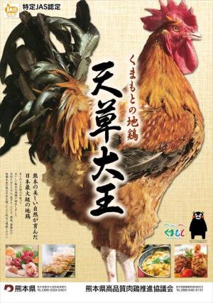 天草大王ポスター 天草大王ポスター