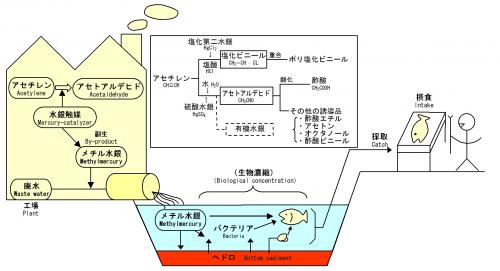 経路