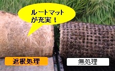 遮根2 遮根2