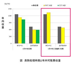 イチゴ「ゆうべに」の畝連続栽培は、2kg/10a以下の基肥窒素量で収量・品質が安定する(2)