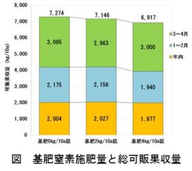 イチゴ「ゆうべに」の畝連続栽培は、2kg/10a以下の基肥窒素量で収量・品質が安定する(2)