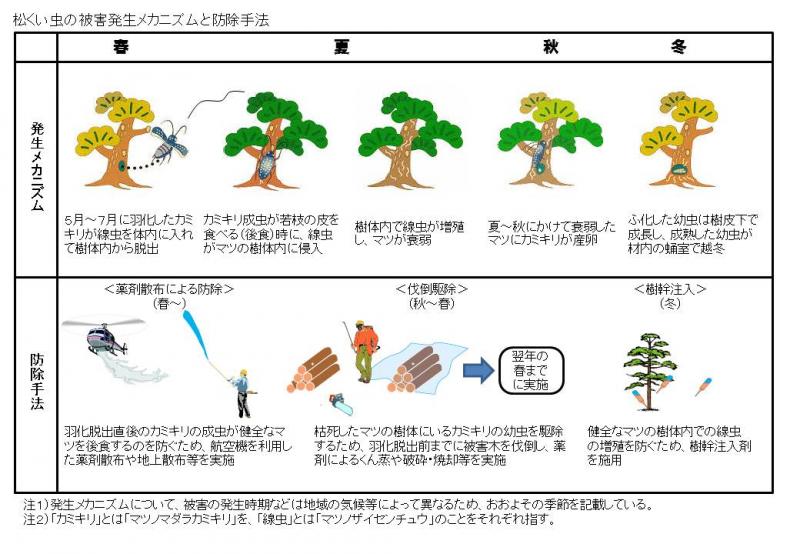 メカニズム 被害発生メカニズムと防除手法