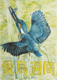 R3小5金 小田