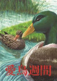 R3高金 松本