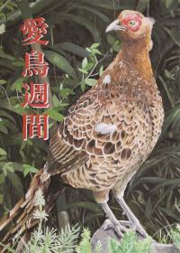 R3高銀 河津
