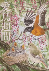 R3高銅 大城