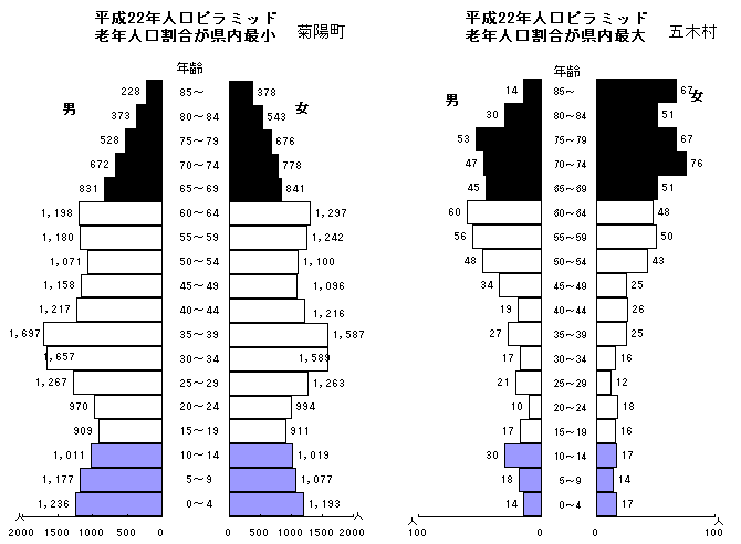 平成22年人口ピラミッド(菊陽町・五木村)