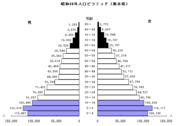 昭和30年人口ピラミッド(熊本県)