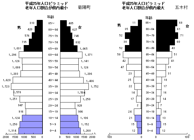 平成25年人口ピラミッド(菊陽町・五木村) 平成25年人口ピラミッド(菊陽町・五木村)