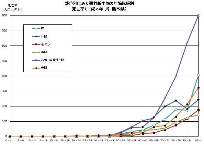 部位別にみた悪性新生物の年齢階級別死亡率(平成25年 男 熊本県) 部位別にみた悪性新生物の年齢階級別死亡率(平成25年 男 熊本県)