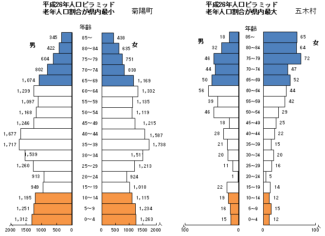 平成26年人口ピラミッド 平成26年人口ピラミッド