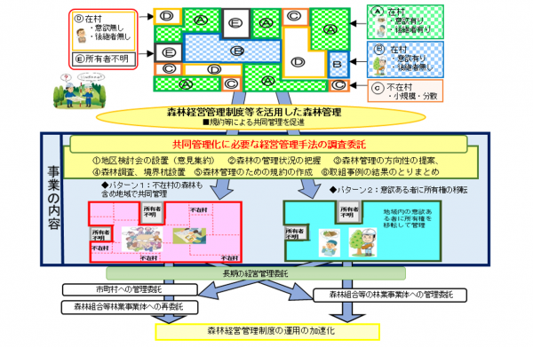 森林共同管理(イメージ)