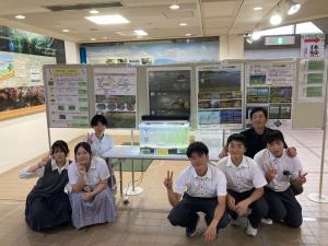 展示3