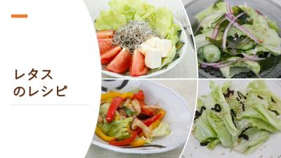 レタス