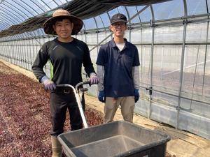 畑に有機肥料をまく様子(写真)