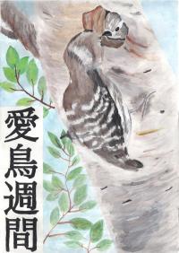 銀賞　西川さん