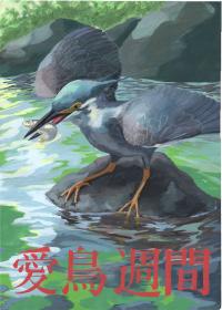 銀賞　島田さん