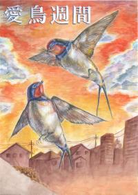 銅賞　河村さん