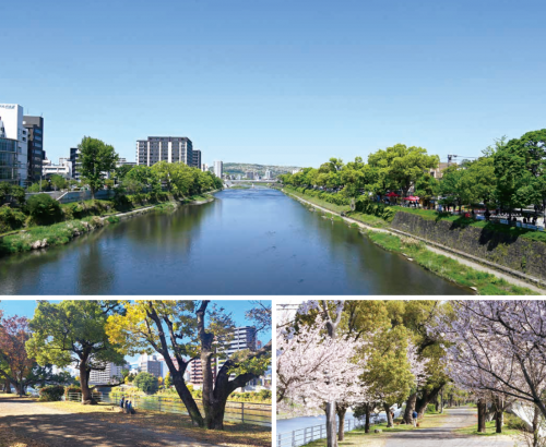 白川の大甲橋～明午橋（通称：緑の区間）