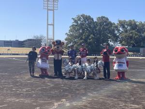 火の国サラマンダーズ