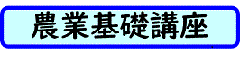 基礎講座