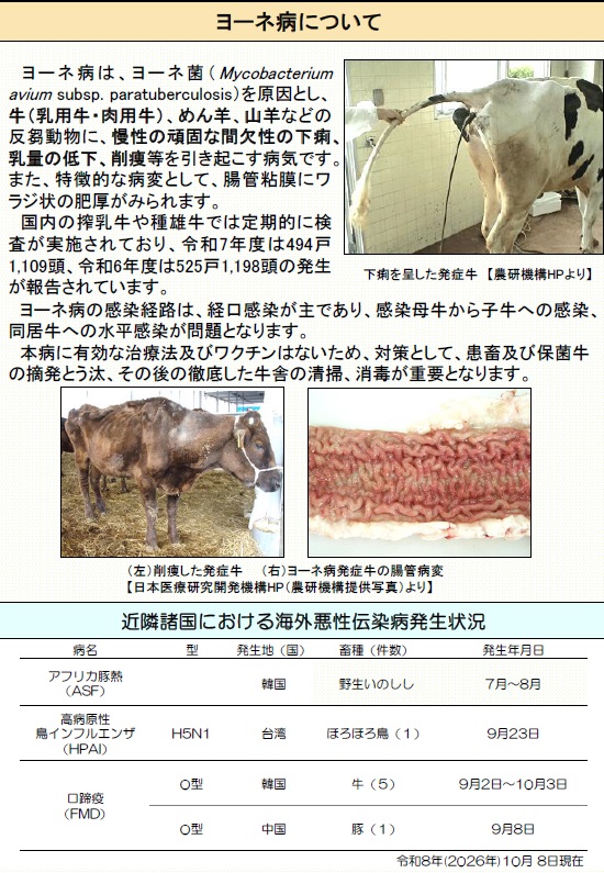 阿蘇家保だより3ページ目