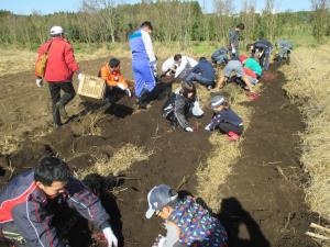 農業体験（芋掘り）