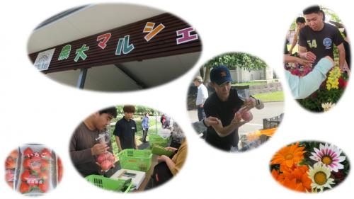 農大マルシェ写真