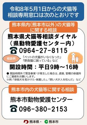 相談窓口チラシ