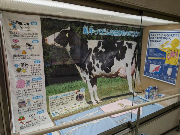 牛乳月間における県庁地下展示スペースでの酪農理解情勢・牛乳消費拡大にかかる展示の様子